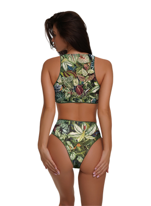 Top & High-Waisted Brazilian